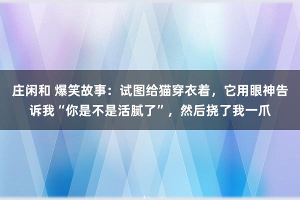 庄闲和 爆笑故事：试图给猫穿衣着，它用眼神告诉我“你是不是活腻了”，然后挠了我一爪