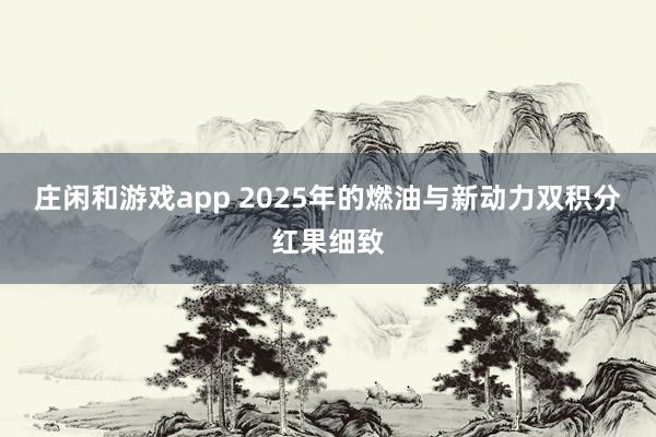 庄闲和游戏app 2025年的燃油与新动力双积分红果细致