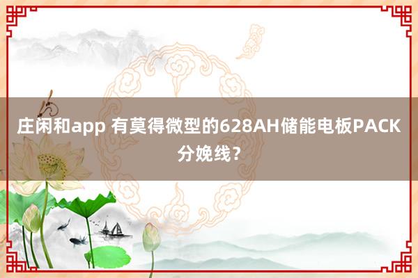庄闲和app 有莫得微型的628AH储能电板PACK分娩线？