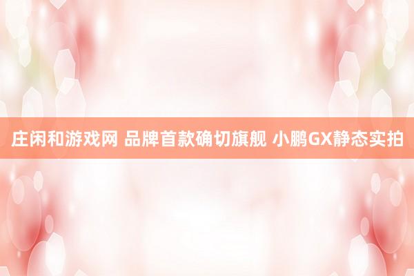 庄闲和游戏网 品牌首款确切旗舰 小鹏GX静态实拍