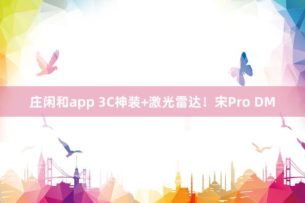 庄闲和app 3C神装+激光雷达！宋Pro DM
