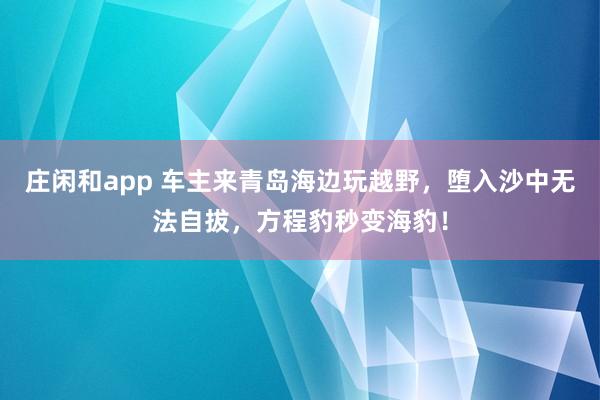 庄闲和app 车主来青岛海边玩越野，堕入沙中无法自拔，方程豹秒变海豹！