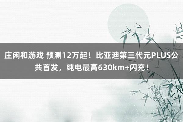 庄闲和游戏 预测12万起！比亚迪第三代元PLUS公共首发，纯电最高630km+闪充！