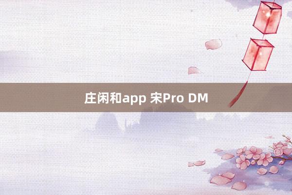 庄闲和app 宋Pro DM