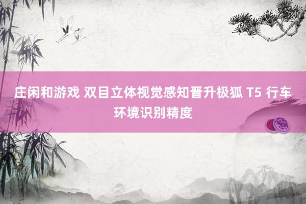 庄闲和游戏 双目立体视觉感知晋升极狐 T5 行车环境识别精度