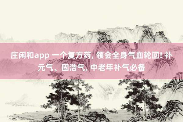 庄闲和app 一个复方药, 领会全身气血轮回! 补元气、固浩气, 中老年补气必备